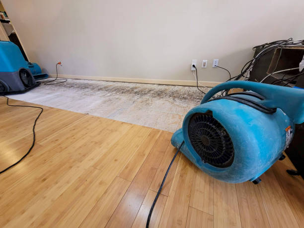 Professional Sewage Cleanup technician working in Freedom, PA